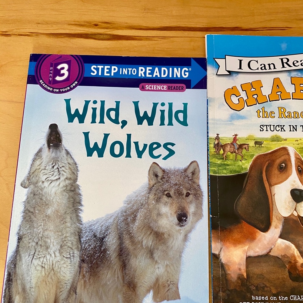 4 gently used books.